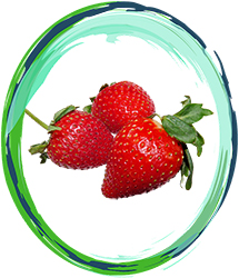Strawberry Innovation e-liquid