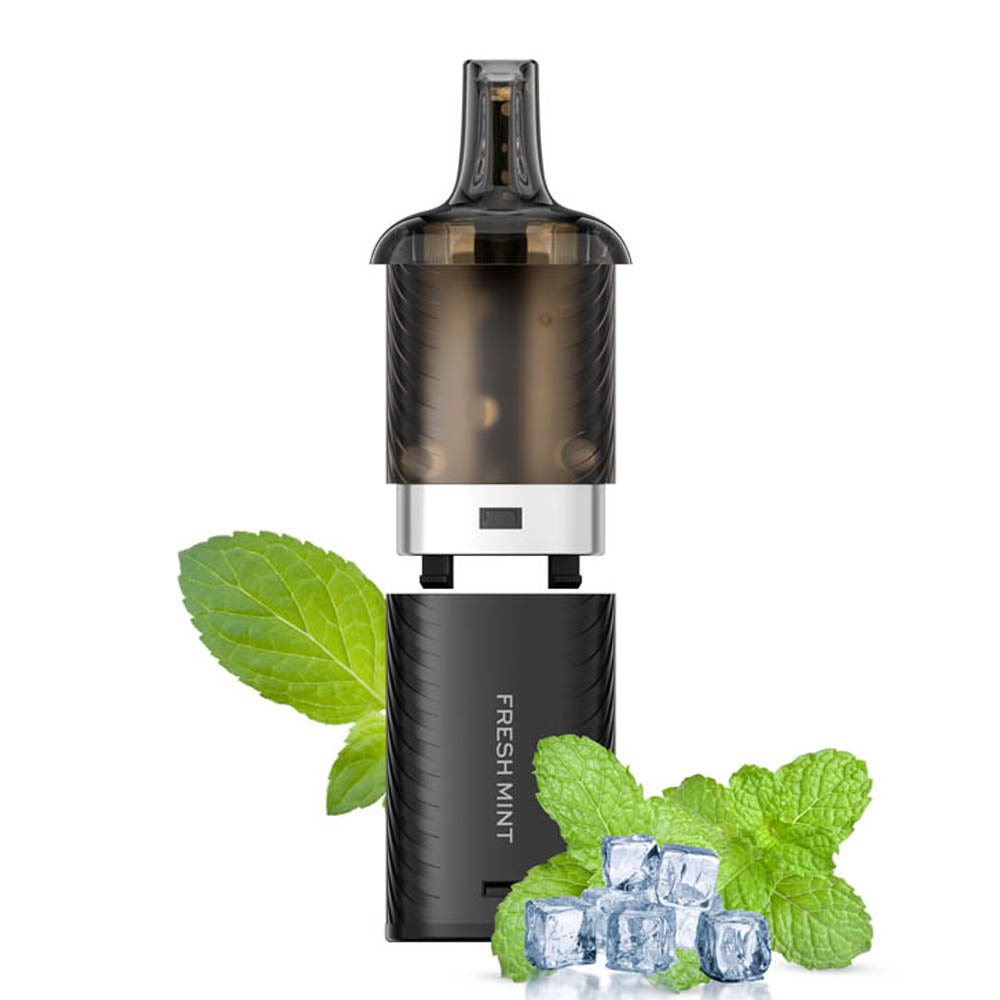 N07_FRESH MINT pod