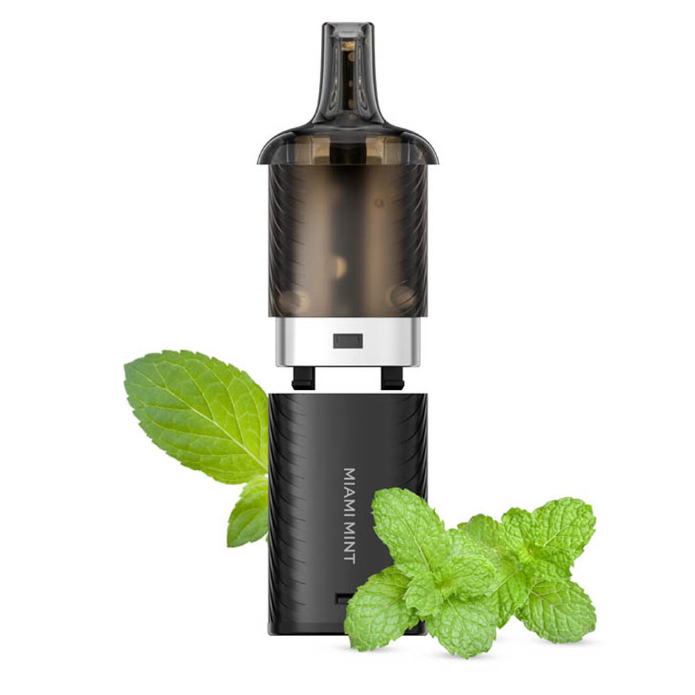 N07_MIAMI MINT pod
