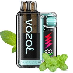 Vozol Vista Plug 20mg 2ml Kit + 10ml e liquid Miami Mint